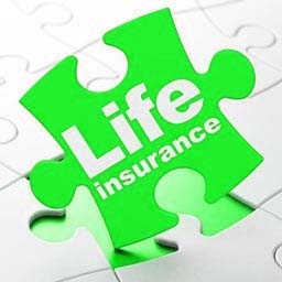 Best Term Life Insurance Reddit: Insider Tips Revealed